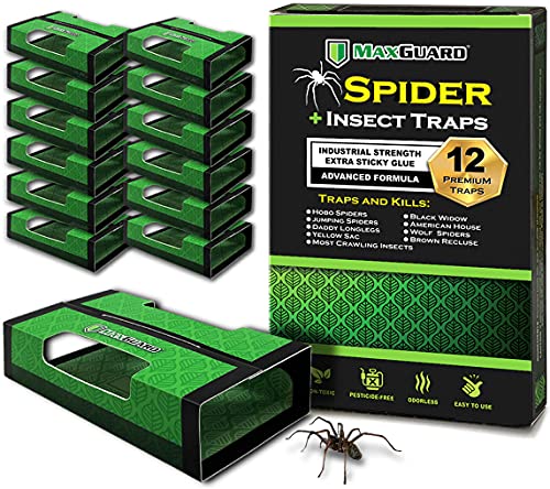 MaxGuard Spider + Insect Traps (12 pcs Box Trap) | Non-Toxic Extra Sticky Glue Traps | Trap and Kill Hobo Spiders, Black Widow Spiders, Brown Recluse Spiders and Other Crawling Bugs & Insects |