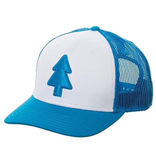 Best Gravity Falls Dipper Hat