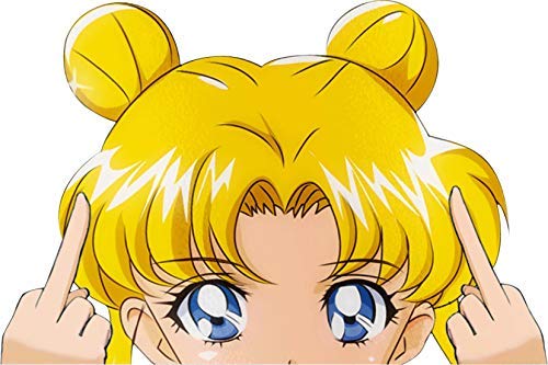 Best Sailor Moon Car Accessories