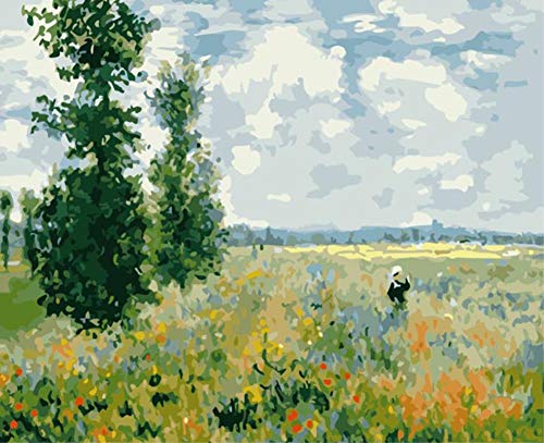 ABEUTY DIY Paint by Numbers for Adults Beginner - Al Flower Field & Flowers Poppy 16x20 inches Number Painting Anti Stress Toys