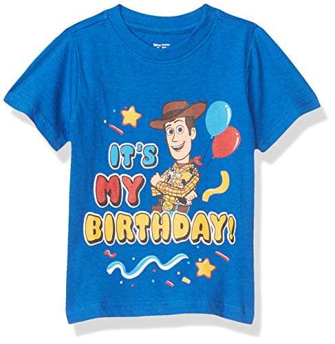 Disney Toy Story Woody Boys' Birthday Short Sleeve T-Shirt for Toddler and Little Kids - Blue