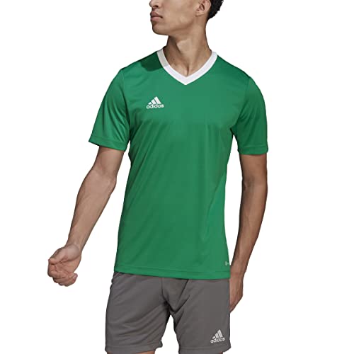 adidas Men's Entrada 22 Jersey, Team Green/White, X-Large