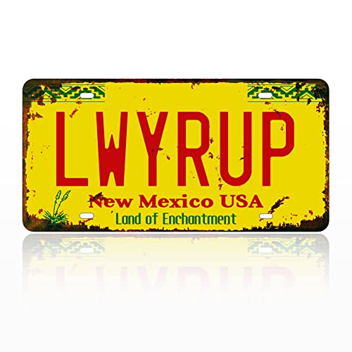 Breaking Bad Metal Stamped Vanity Prop License Plate, Retro Embossed Metal Stamped Number Tag Replica, 12x6 Inch (LWYRUP)