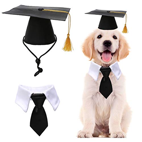 Pet Graduation Caps with Bow Tie Necktie Collar Dog Graduation Hats Accessory Costume for Dogs Cats