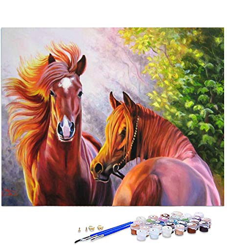 VAIIEYO Acrylic Paint by Numbers Horse, DIY Oil Painting Kit Animal Canvas Pictures Drawing Paintwork with Paintbrushes for Kids Beginner Arts Craft for Home Wall Decor 16x20 inch