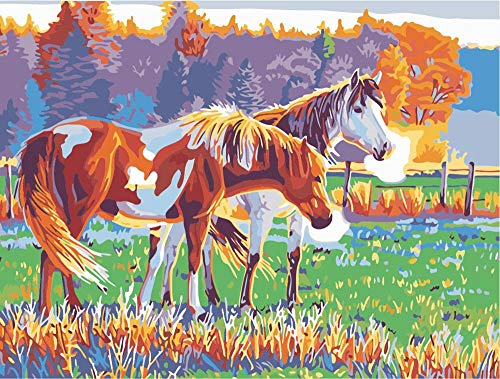 ifymei Paint by Number for Kids and Adults Beginner, DIY Gift Canvas Painting Kits, 16x20 Inch Colorful Horses [Without Frame]