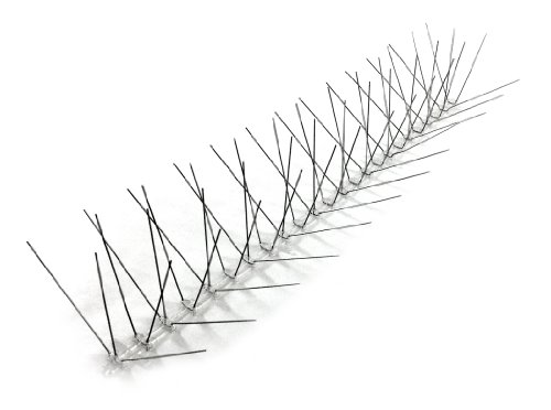 Bird-X Extra Wide 8-inch Stainless Steel Bird Spikes - Metal Roof Guard, Pigeon and Bat Deterrent, Animal and Pest Control Supplies, Covers 100 Feet, Multi