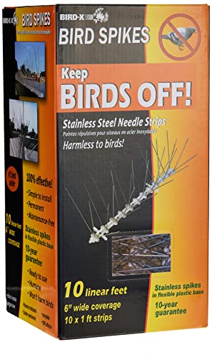 5 Best Bird Spikes For Roof: Protect Your Home From Pest Birds